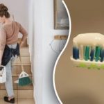 Домакините бяха призовани да третират домовете си с паста за