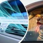 Горещата вълна удари Украйна: как бързо да охладите интериора на