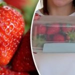 Как да съхранявате ягодите, за да ги запазите свежи за