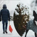 Как да се отървете от леда в двора и да