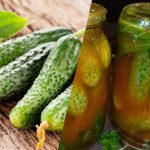 Как да затворите краставици в лют кетчуп за зимата: 3