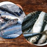 Откъде идват херингата и скумрията в магазините и как да