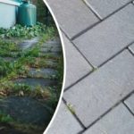 Плевелите в двора ви ще изчезнат за една нощ, ако