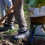 Сеитбен календар за септември 2025 г.: какво да правим в