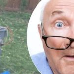 Странната находка край дървото озадачила съседа: каква тайна крие тя