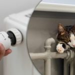 Тайната на умните водопроводчици: един трик с батерията спестява топлина