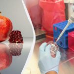 Възможно ли е да се яде нар със семена: ползи,