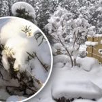 Заплаха при бяло течение: кога излишъкът от сняг може да