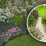 Засади и забрави: идеални многогодишни растения за "мързеливата" градина на слънце и сянка Засади и забрави: идеални многогодишни растения за „мързеливата“ градина на